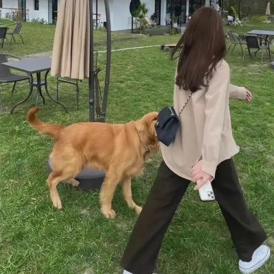 喜剧总动员第二季